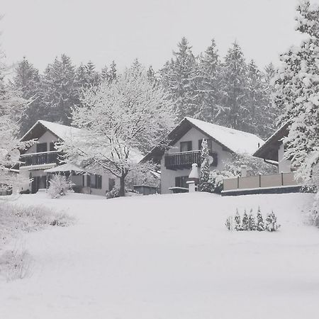 Ferienhaus Anne Mit Sauna, See, Wald Und Ruhe 基希海姆 外观 照片