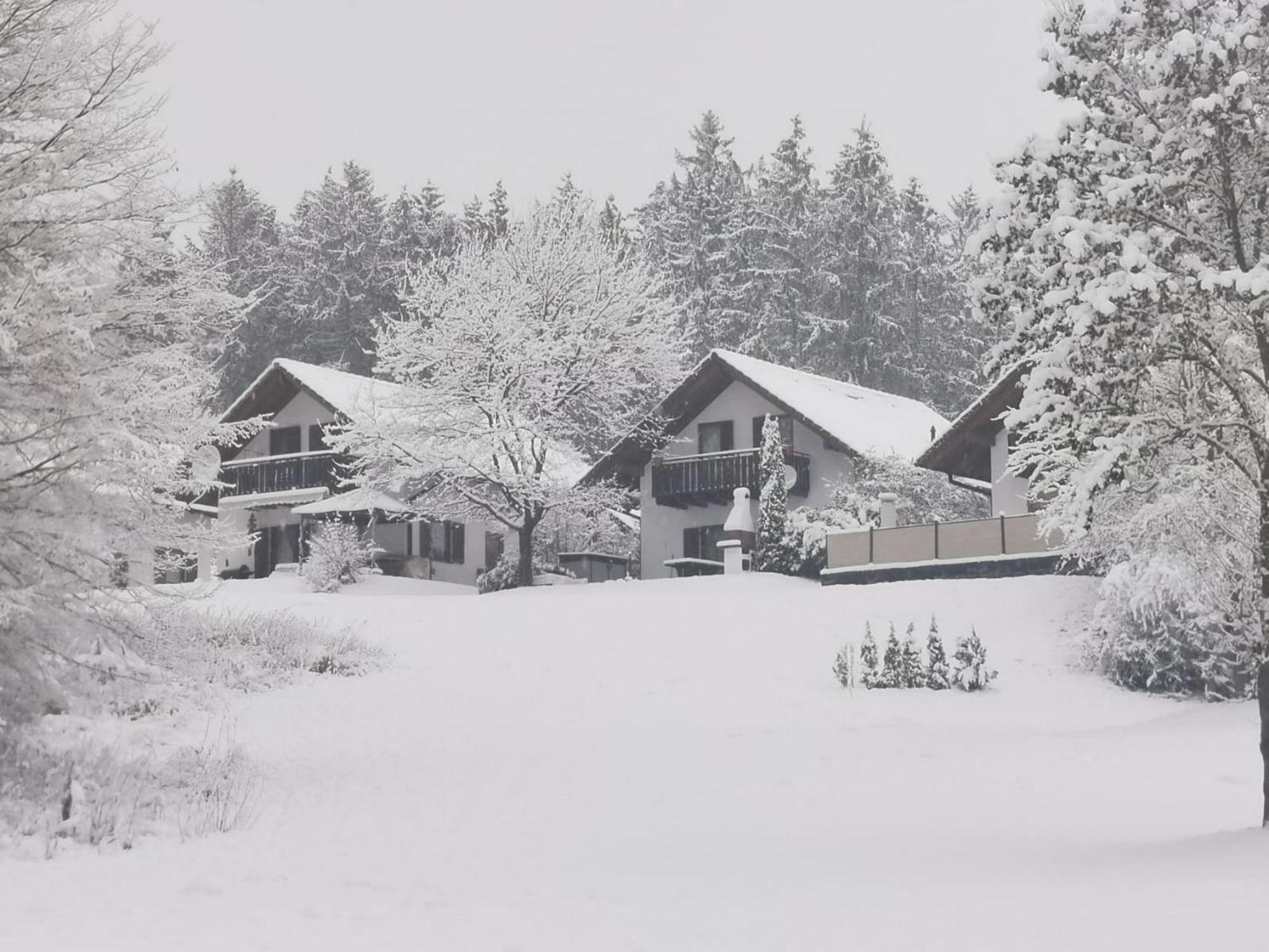 Ferienhaus Anne Mit Sauna, See, Wald Und Ruhe 基希海姆 外观 照片